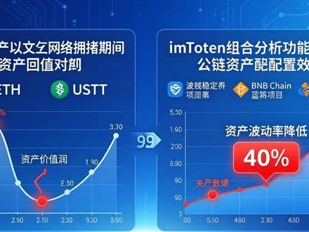 imToken正版网站分析：你的数字资产组合够多样吗？